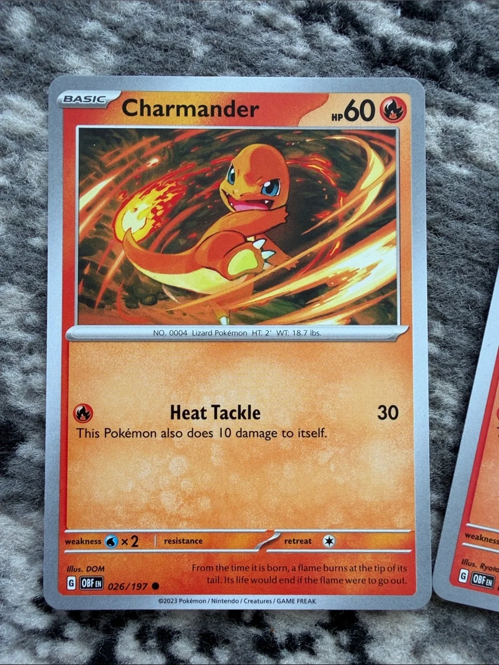 Charmander & Charmeleon Evolution Lot Obsidian Flames ✨5/$25✨